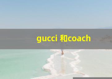 gucci 和coach